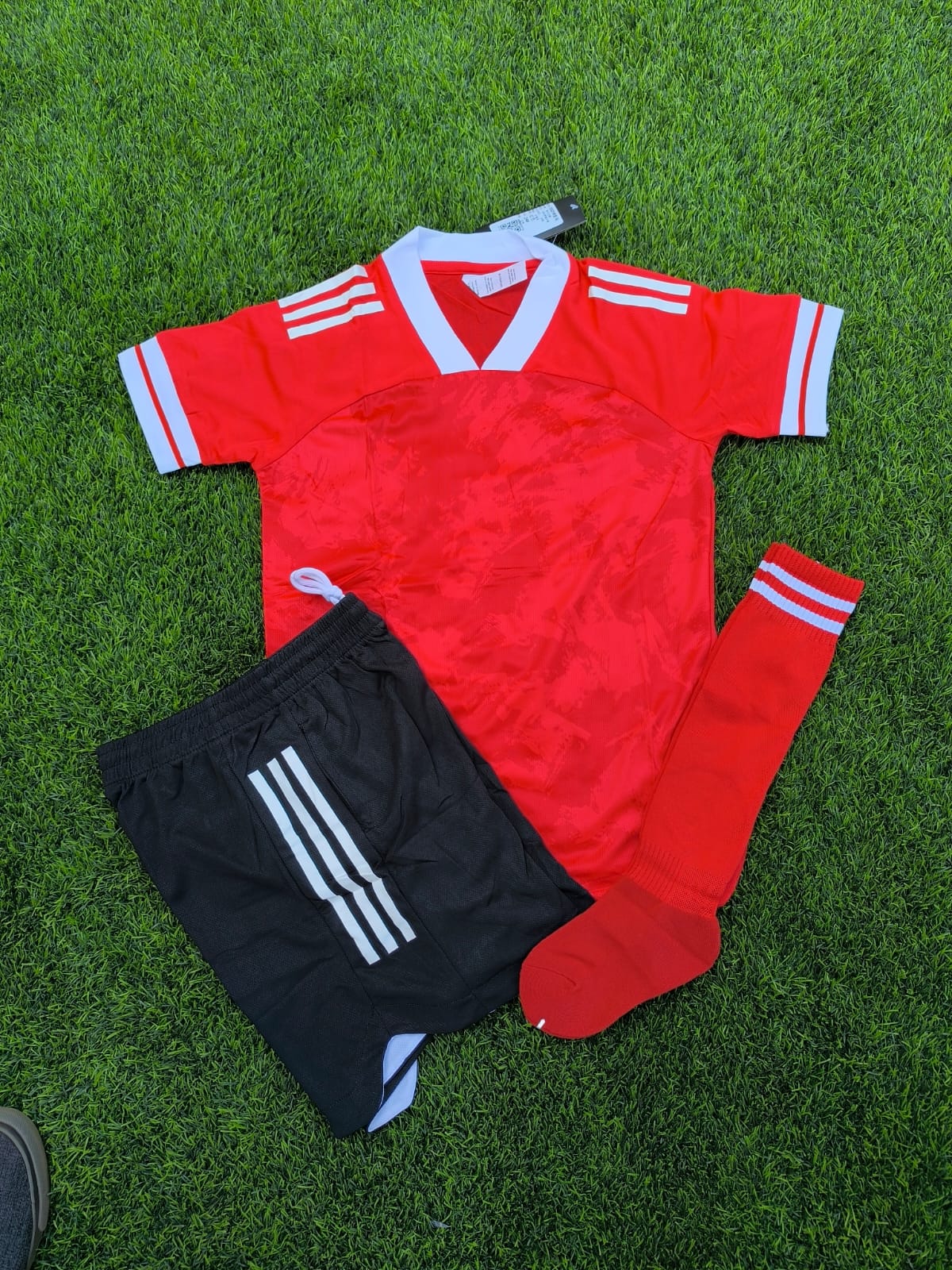 Red Plain